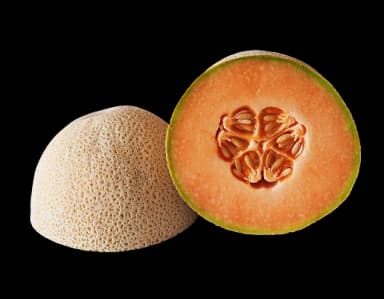 Cantaloupe