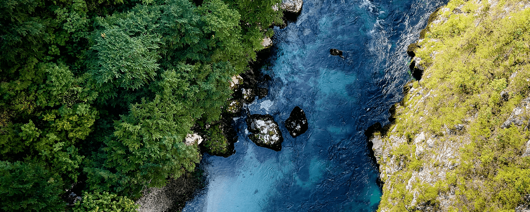 top-down view of a river sorounded by green forest